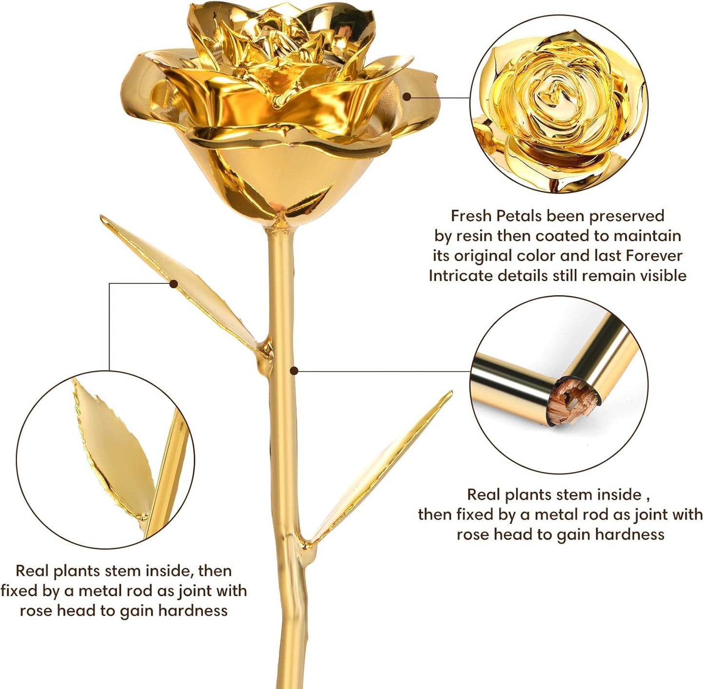 Stunning 24K Gold Dipped Real Rose - Unique Romantic Gift for Her on Birthdays, Anniversaries, Valentine's Day, and Mother's Day