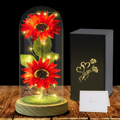 Rose éternelle sous cloche en verre avec LED – Coffret inclus | 7 couleurs disponibles